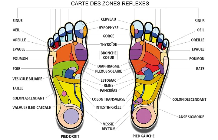 Reflexologie Plantaire